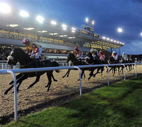 8.30 wolverhampton replay|Wolverhampton Racecourse .
